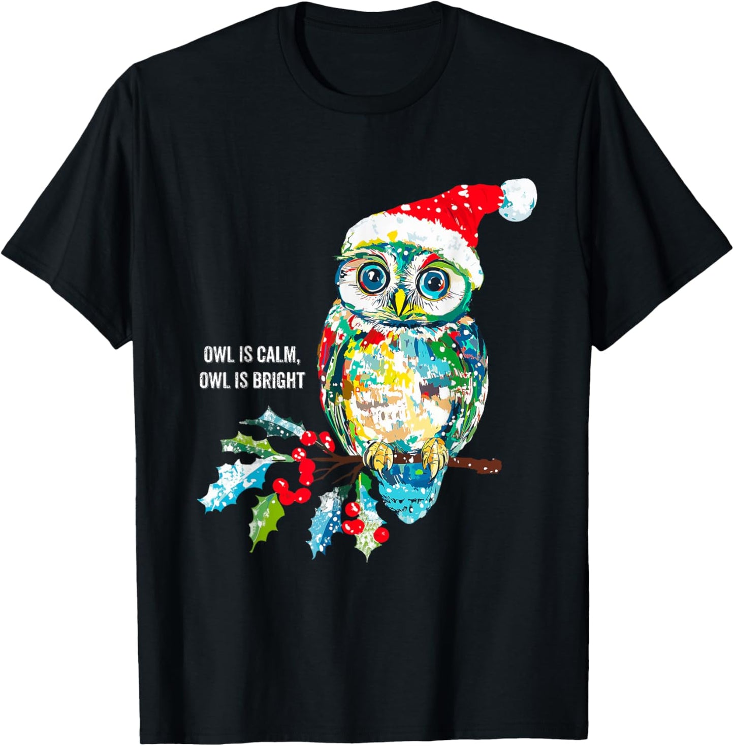 Funny Owl Wearing Santa Claus Hat Christmas Holiday Meme T-Shirt - T-Shirt | Black