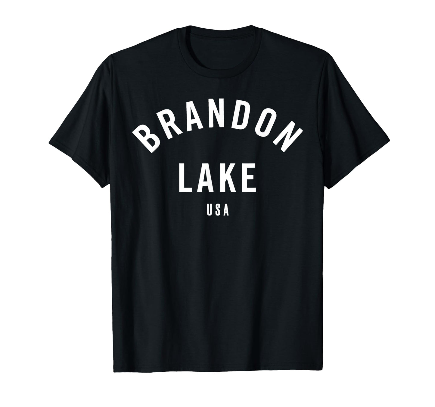 Brandon Lake Lake Collegiate Tee T-Shirt, Kids, Unisex-Adults, Short Sleeve, Classic T-Shirt, Black, Small