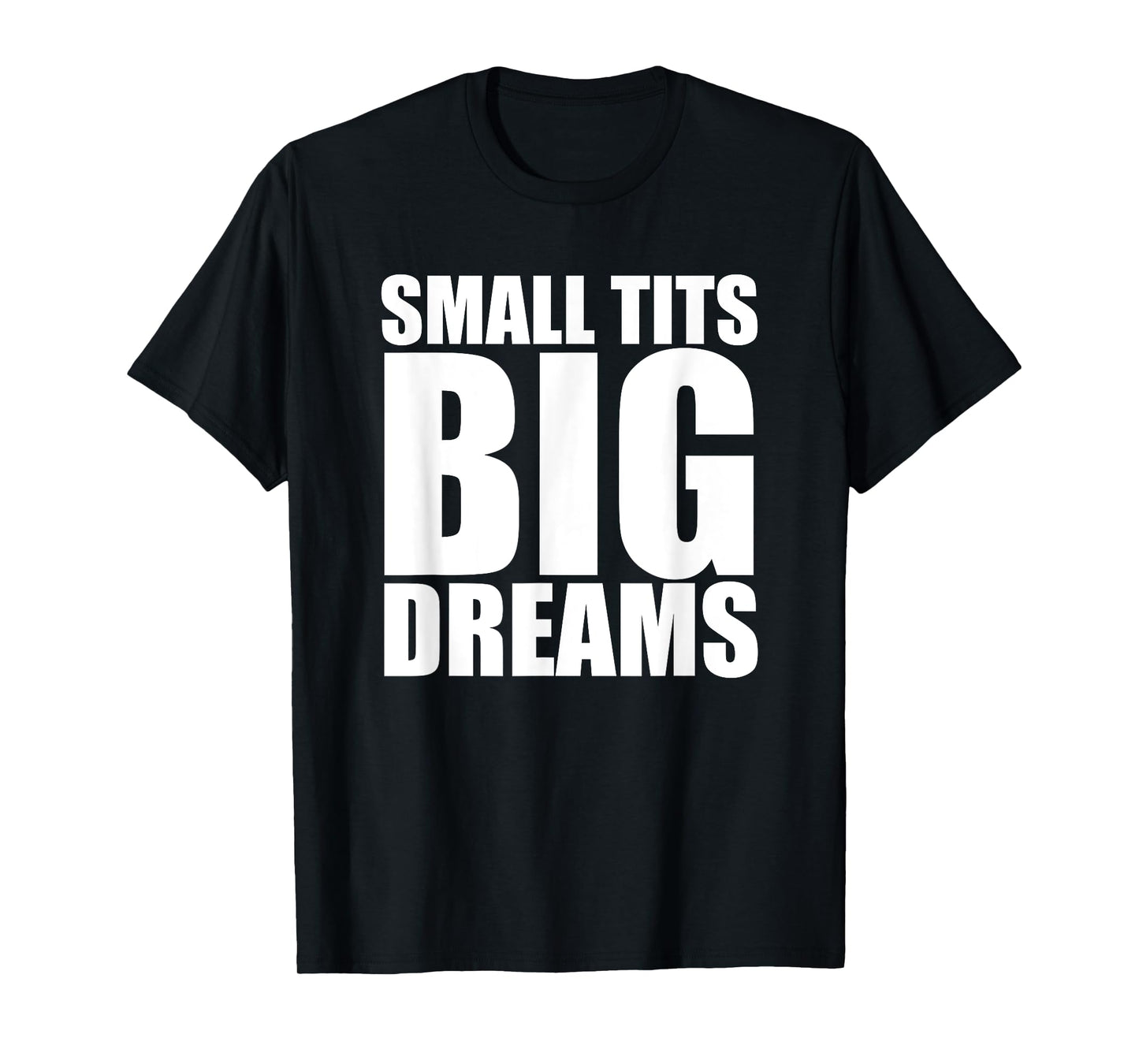 Small Tits Big Dreams Funny Women's Raunchy T-Shirt