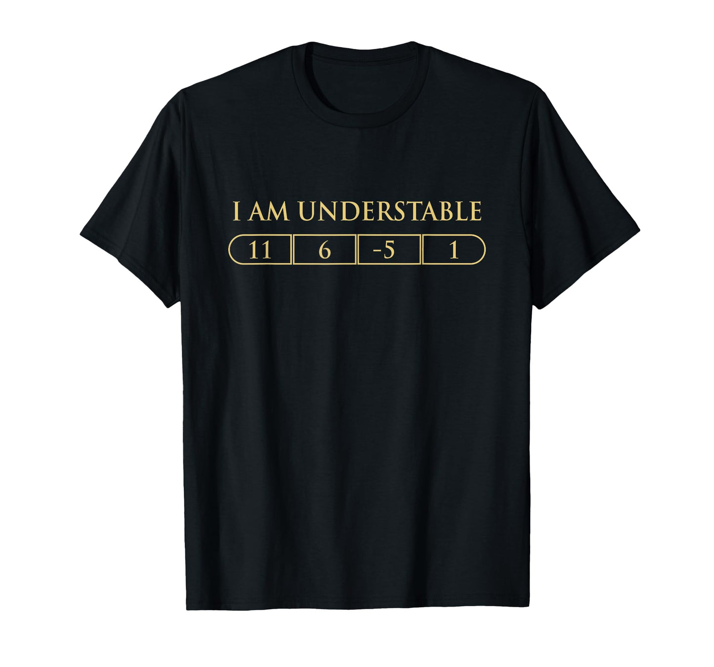 I Am Understable Disc Golf Players Funny Quote T-Shirt