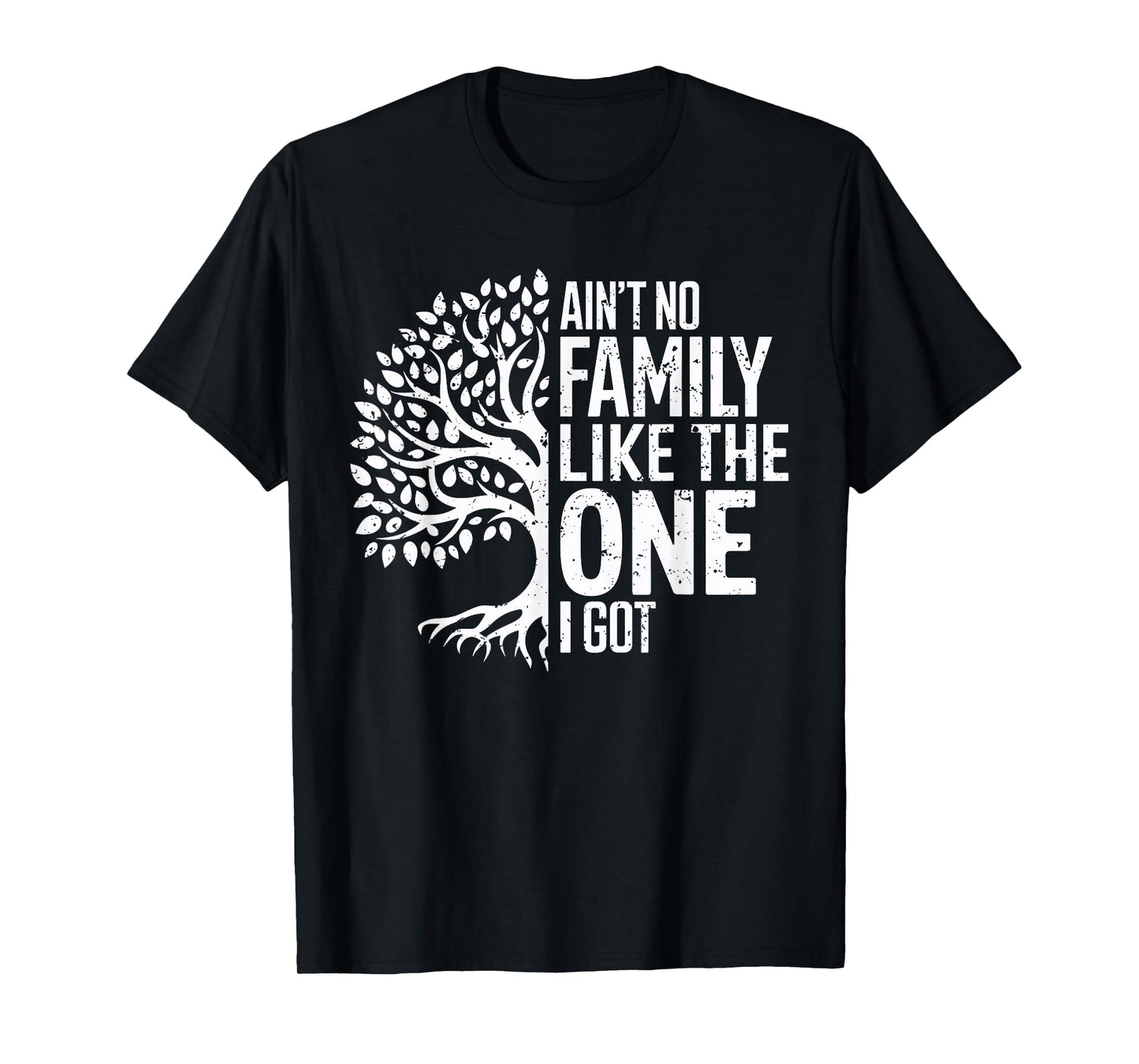 Ain't No Family Like The One I Got Funny Family Reunion 2025 T-Shirt