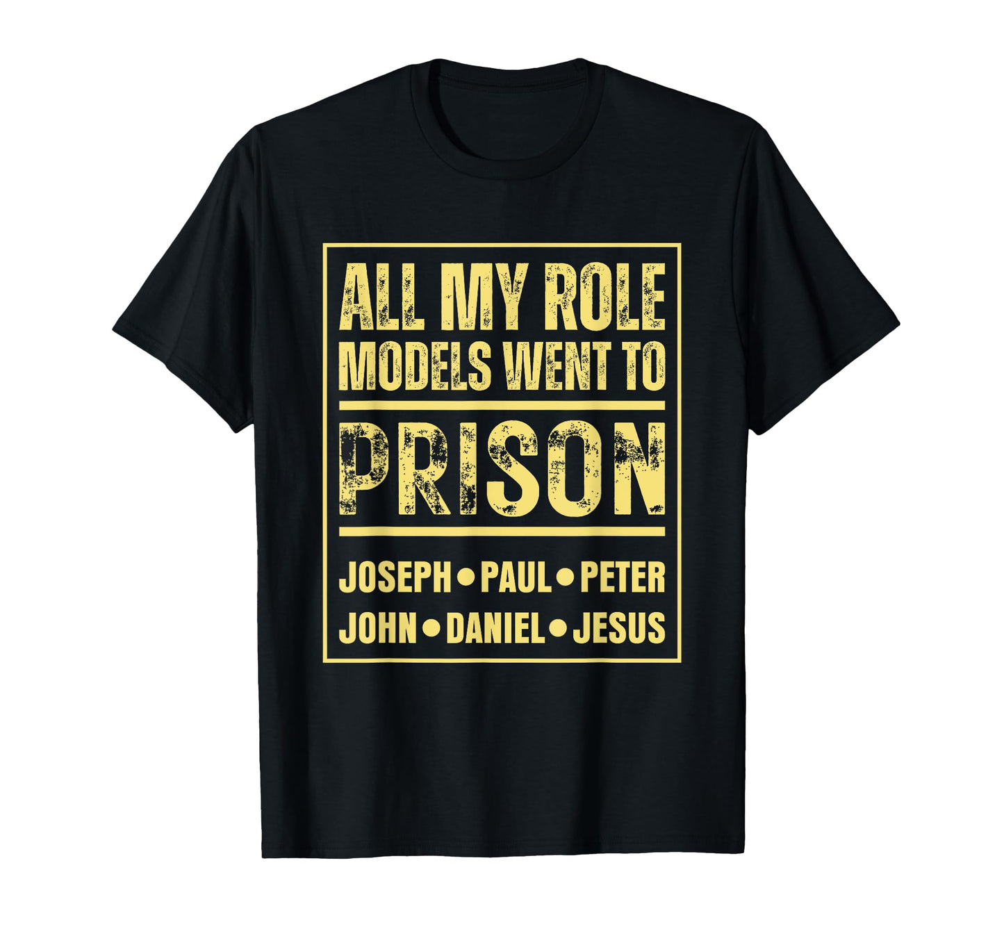 All My Role Models Went To Prison Jesus Paul T-Shirt