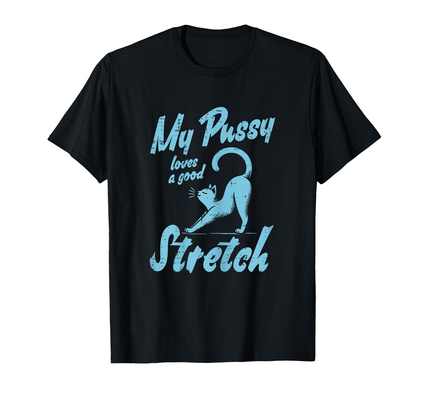 Inappropriate Cat Loves Good Stretch Funny Adult Humor Women T-Shirt