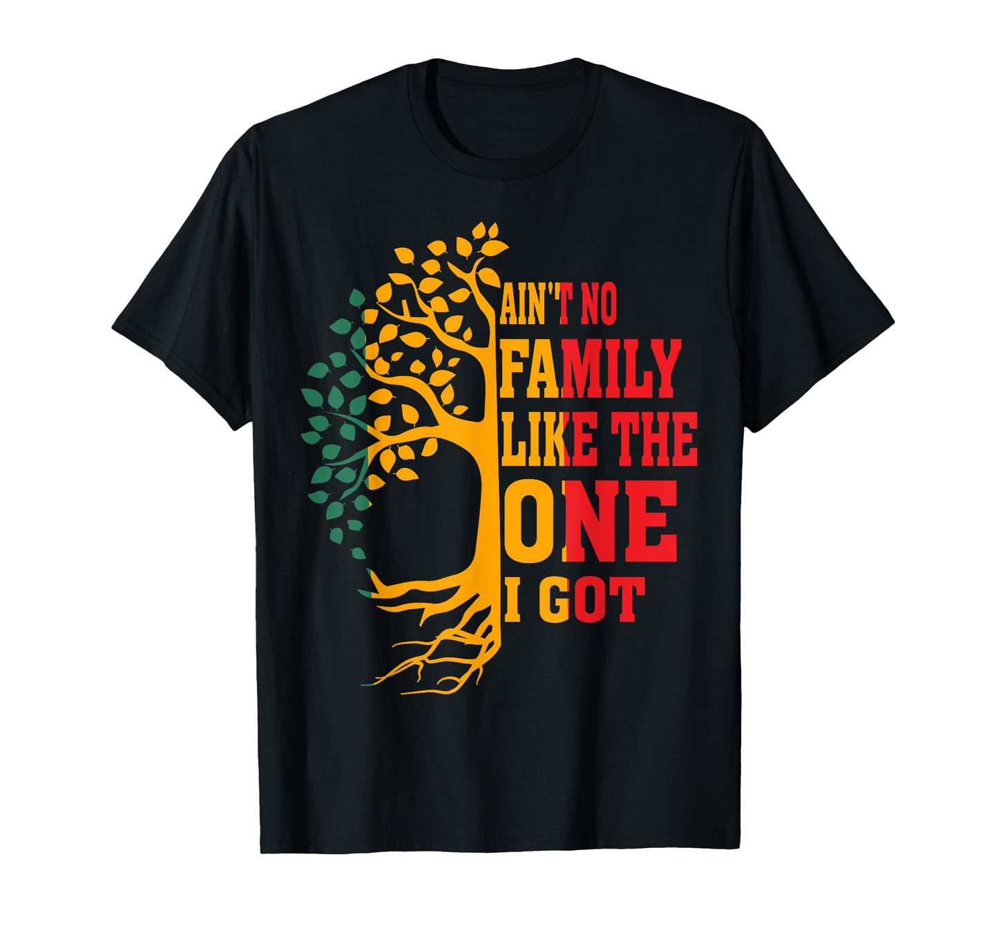 Ain't No Family Like The One I Got Funny Family Reunion 2024 T-Shirt