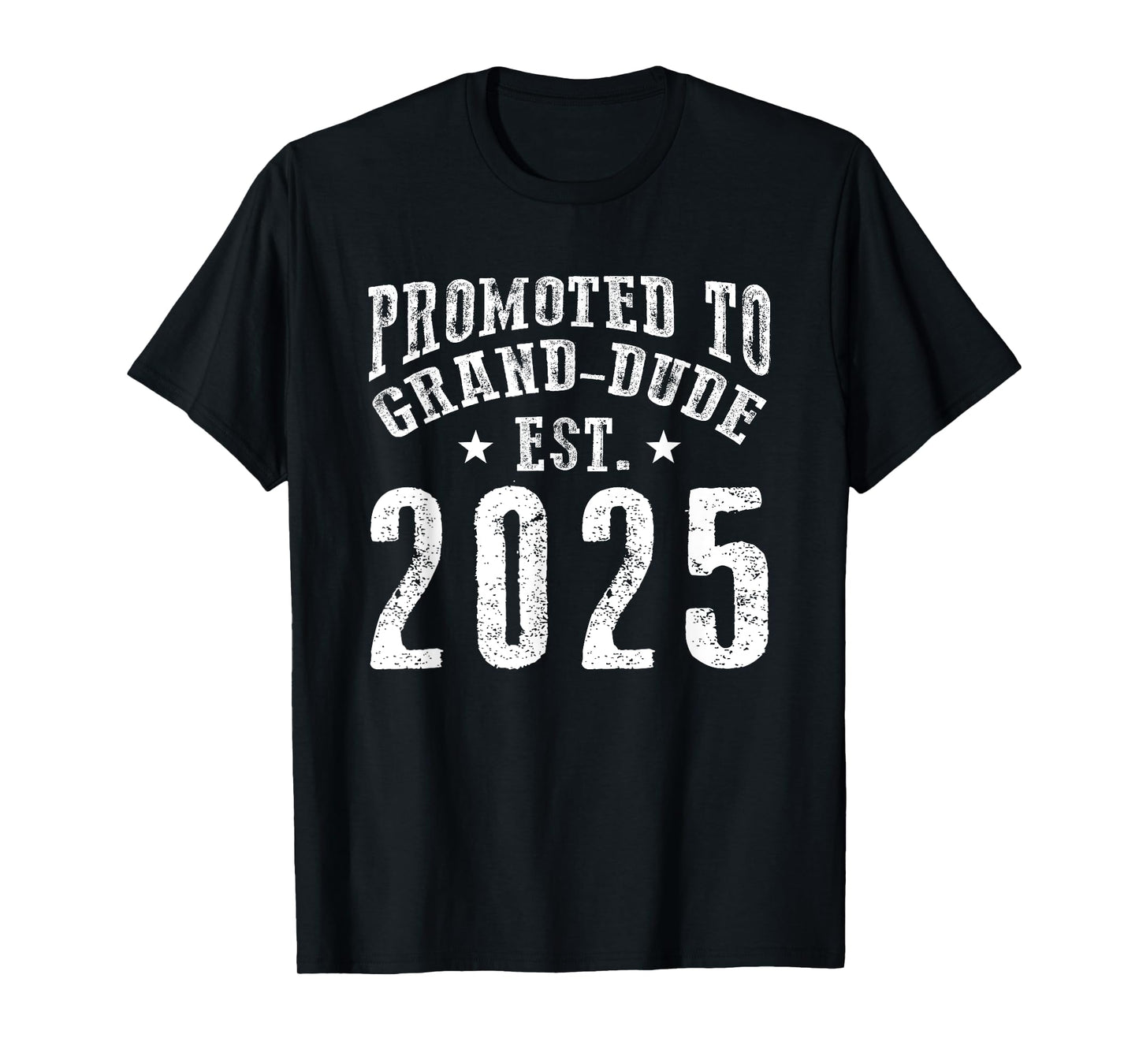 Promoted To Grand-Dude Est 2025 New Coming Grandpa To Be 25 T-Shirt