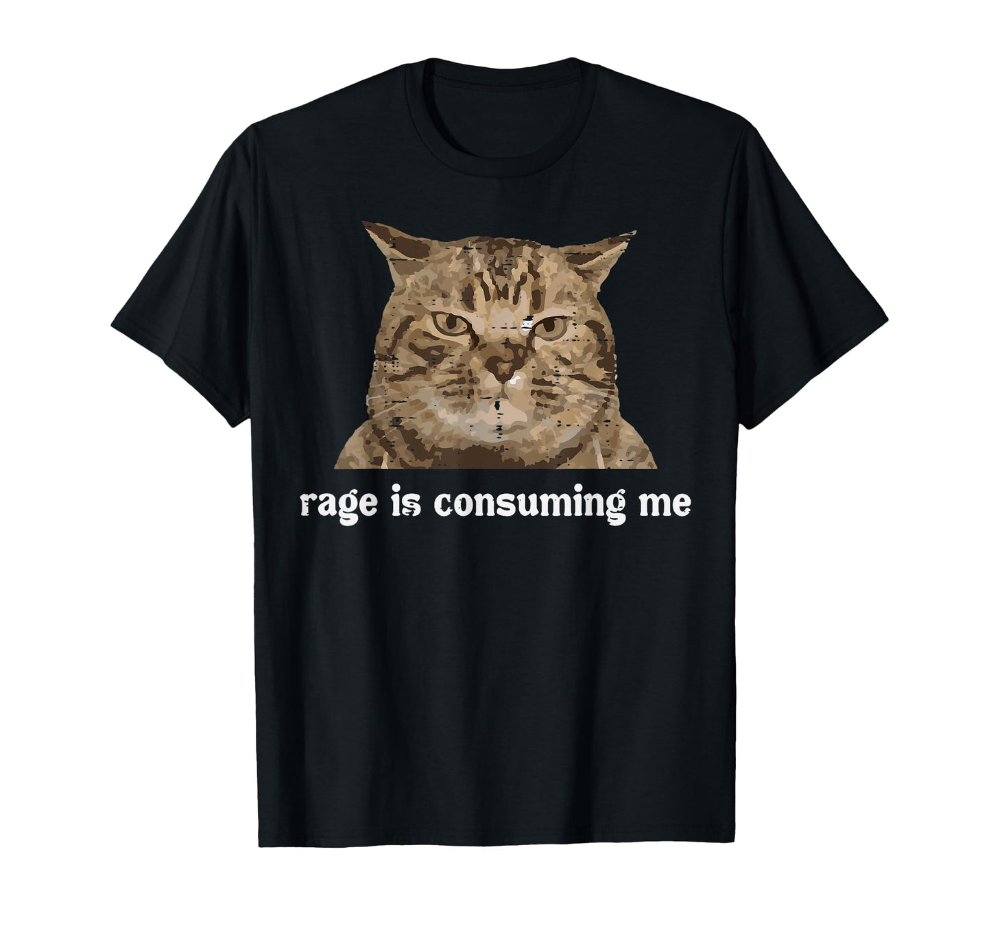 Rage Is Consuming Me Funny Cat Silly Saying Meme Women Men T-Shirt