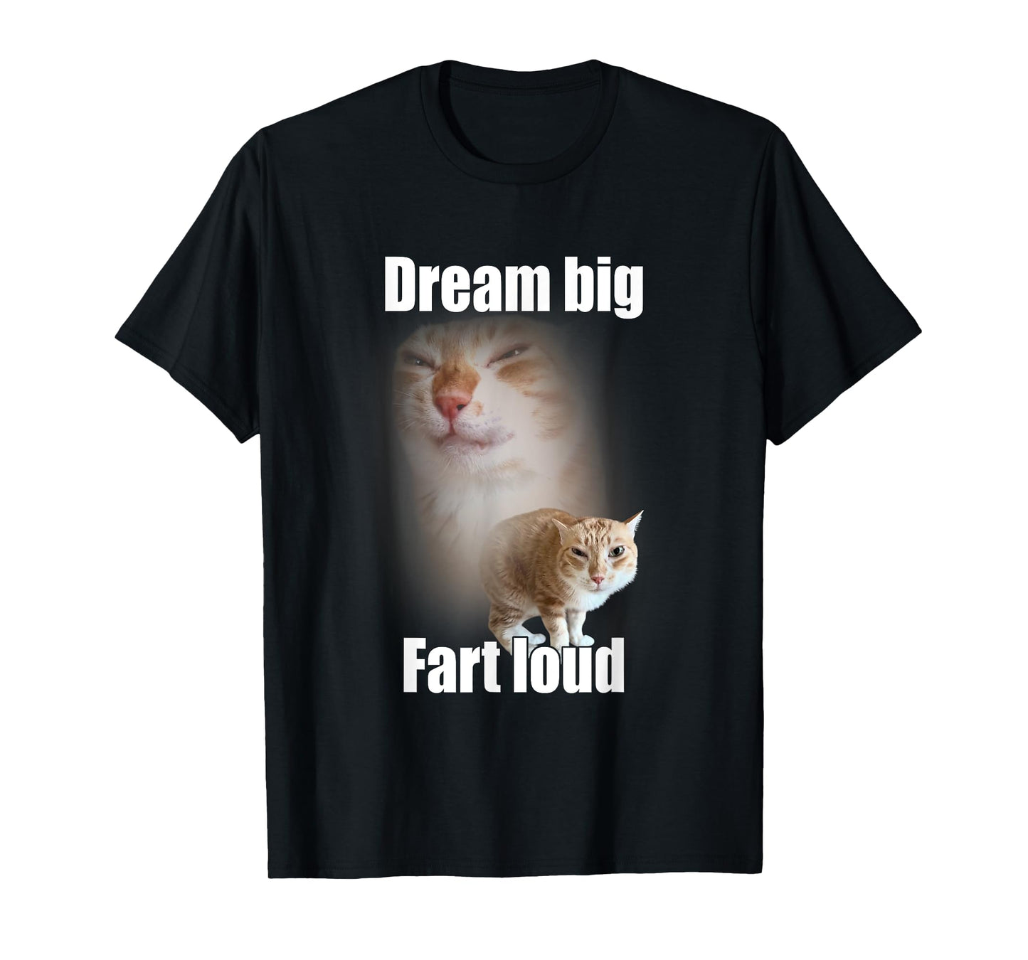 Dream Big Fart Loud Cat Meme Funny Saying Men Women T-Shirt