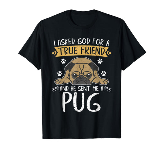 Pug Dog Lover Jesus Christ Prayer Gift Pug T-Shirt for Men Women Kids