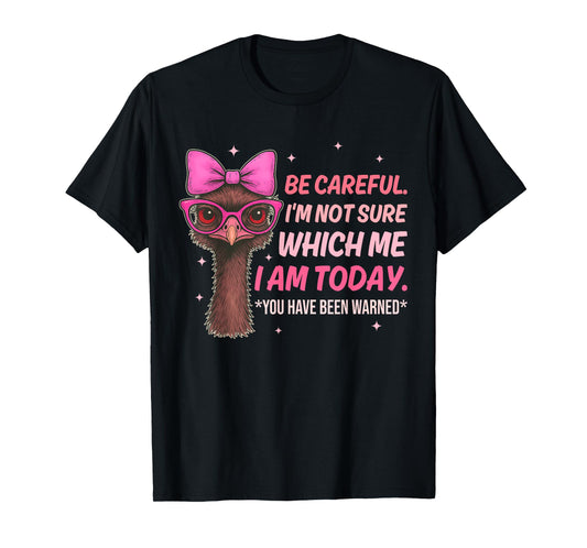 Be Careful. I'm Not Sure Which Me I Am Today Design T-Shirt