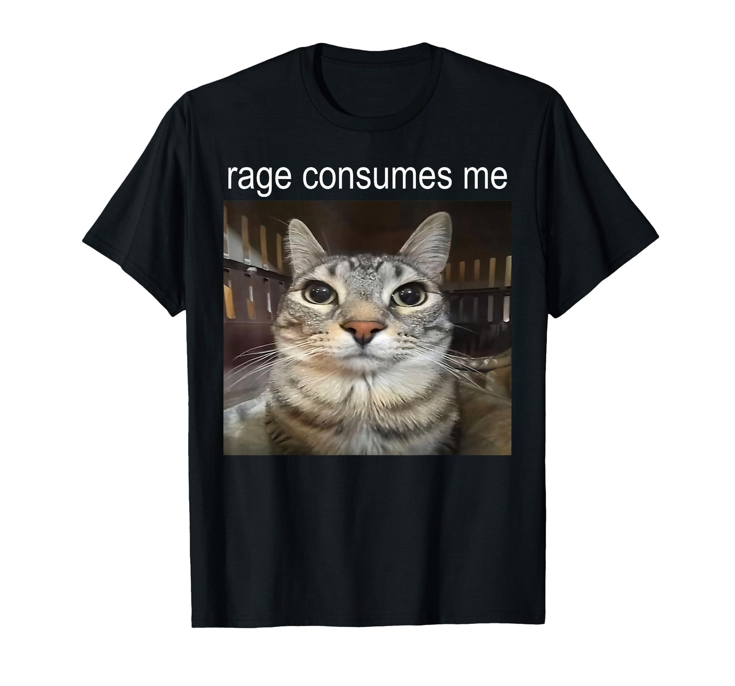 Funny Cat Meme Quote Retro Cat Lover Rage Consumes Me T-Shirt