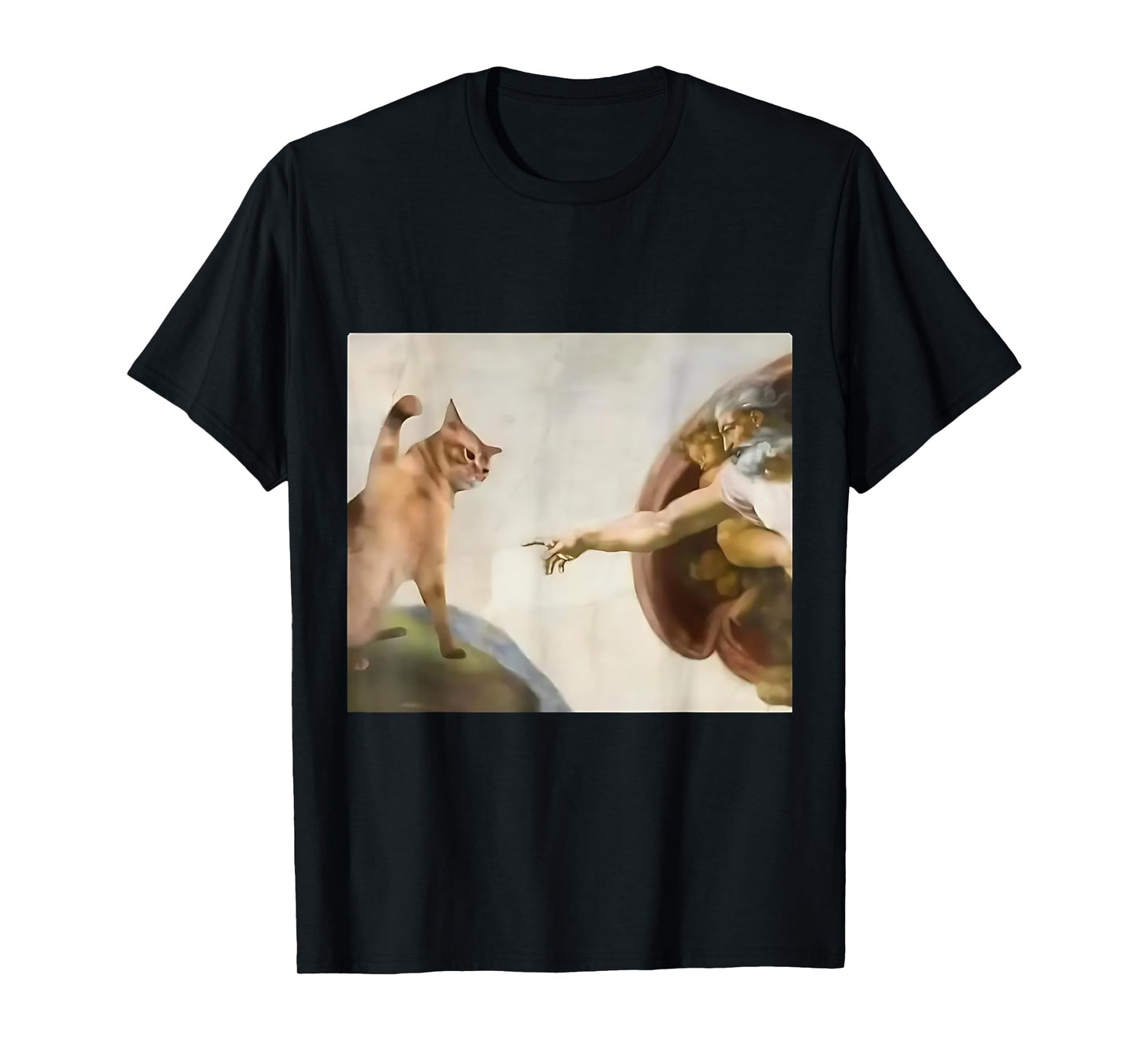 Funny Cat God Creation Of Adam Jesus Gen Z Meme Gifts T-Shirt