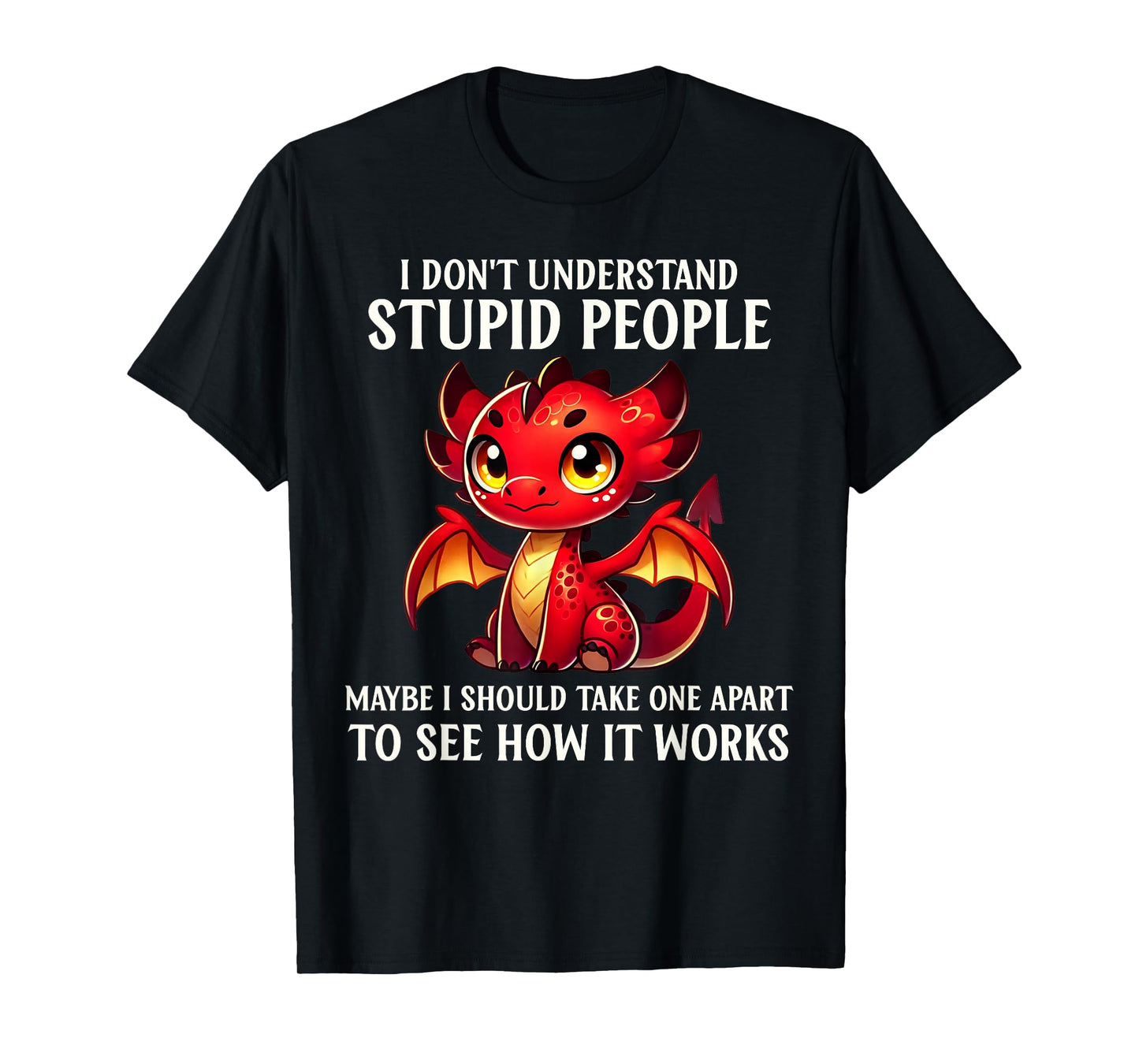 Funny Dragon Lover Humor I Don't Understand Stupid People T-Shirt