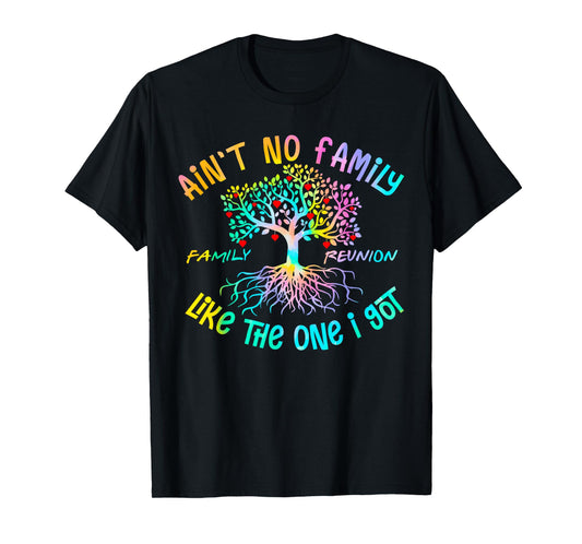 Ain't No Family Like The One I Got Matching Family Reunion T-Shirt