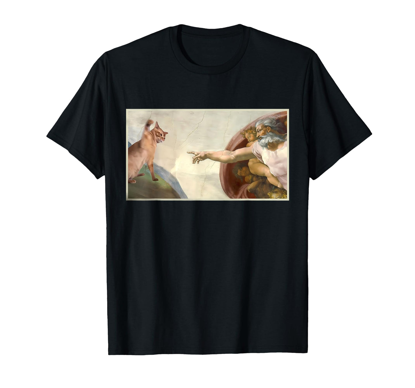 Funny Cat Slap Sarcastic Creation Of Adam Cat Meme Cat Lover T-Shirt