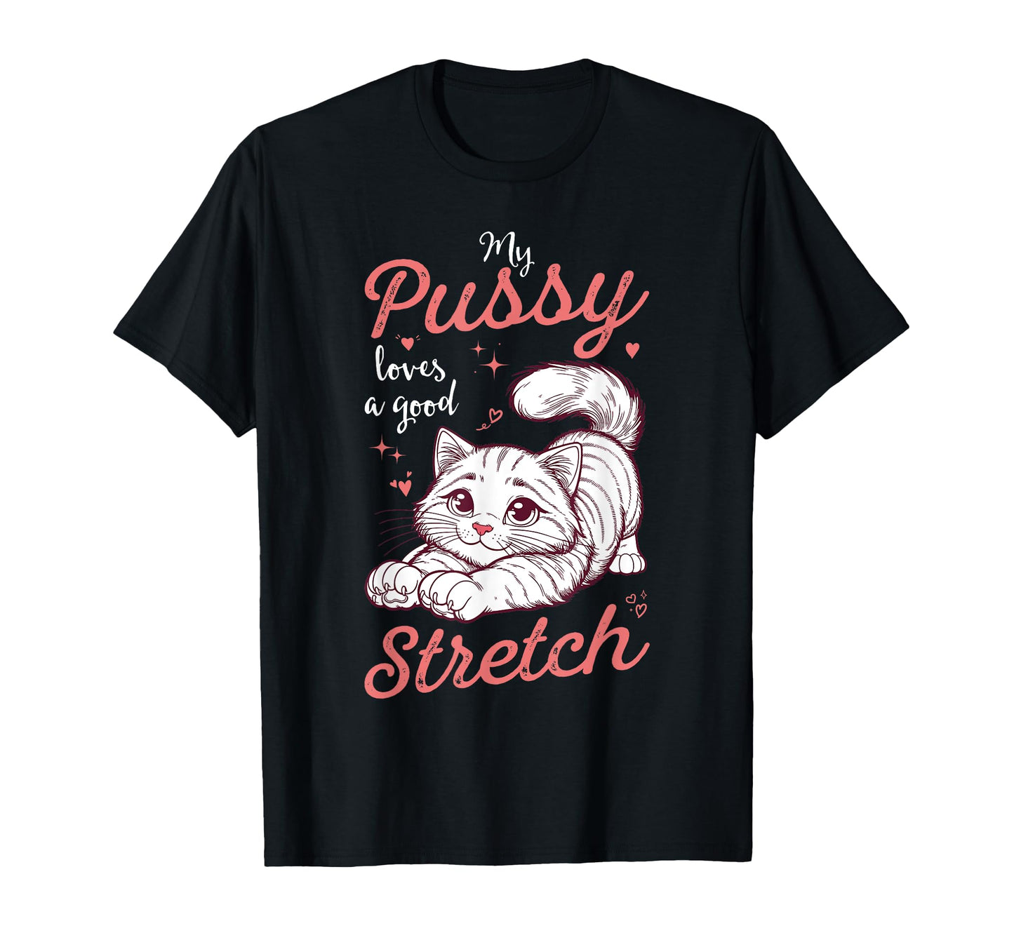 My Pussy Loves A Good Stretch Funny Inappropriate Womens T-Shirt