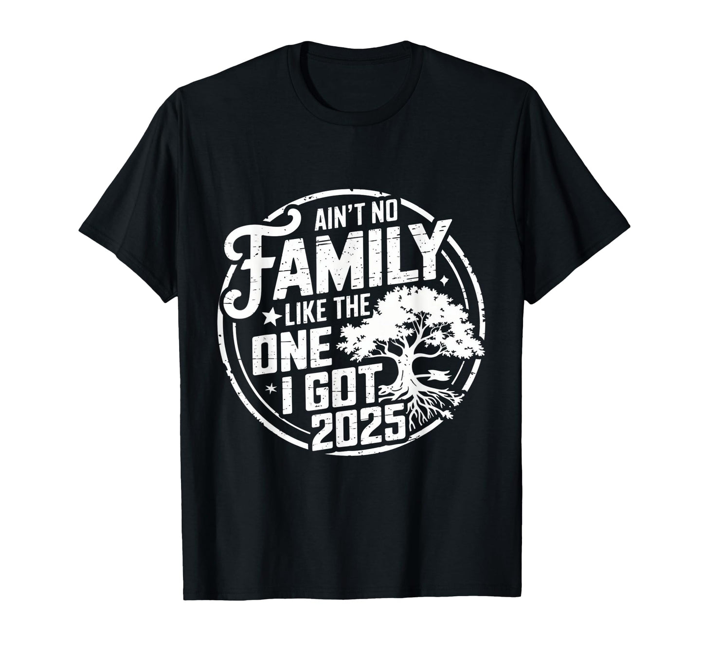 Ain't No Family Like The One I Got Reunion 2025 funny T-Shirt