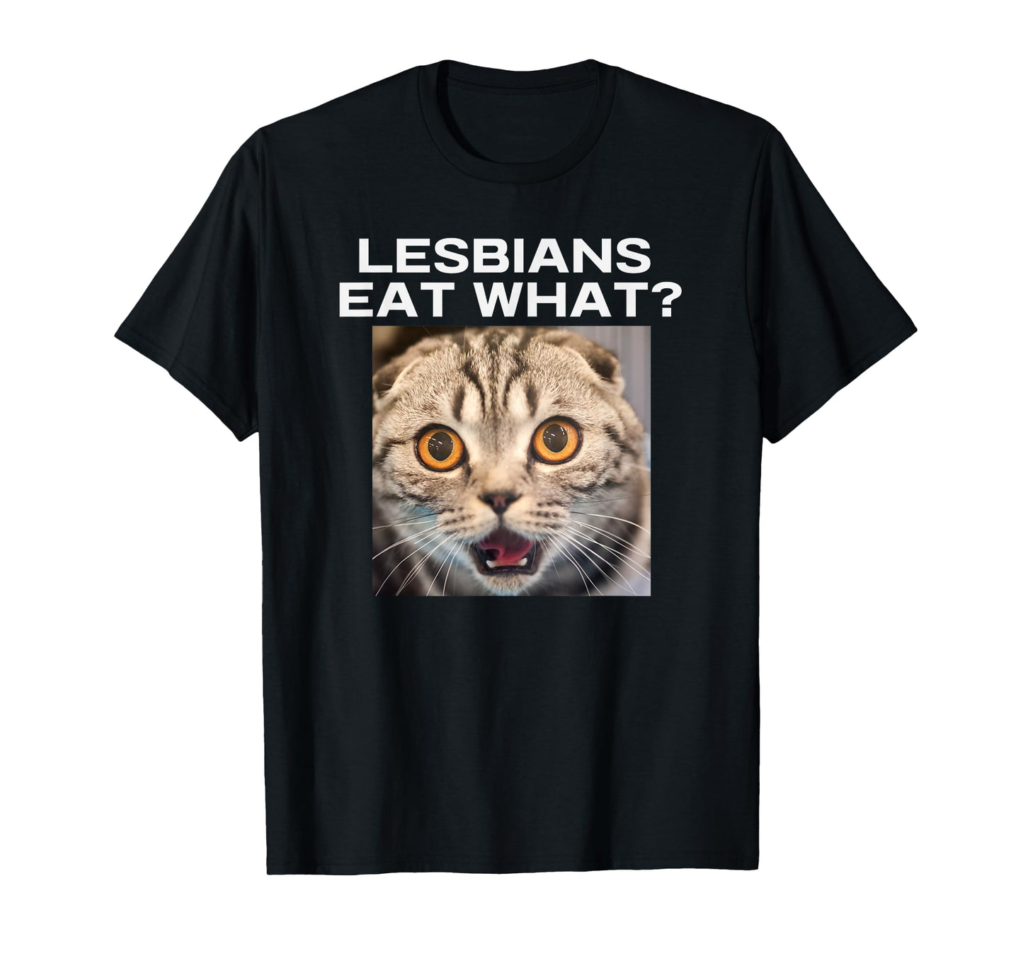 Lesbians Eat What Adult Humor Pun Gag Funny Statement Joke T-Shirt