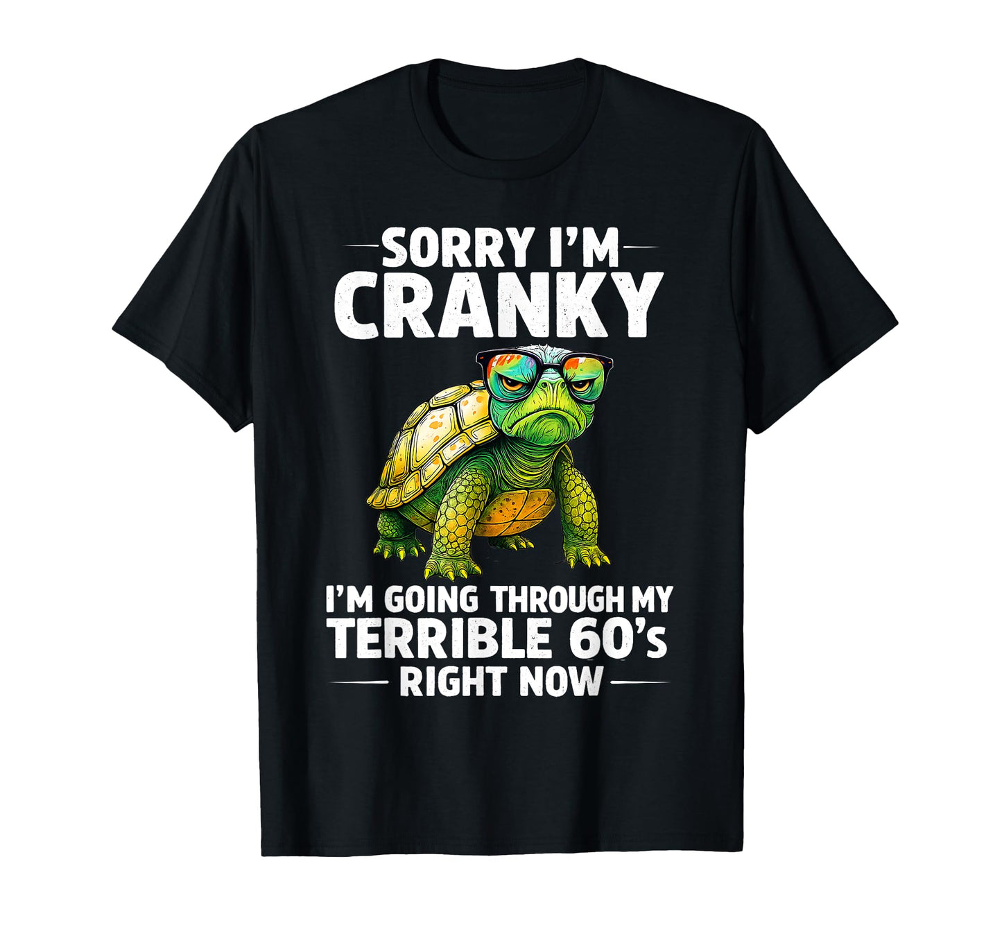 Sorry I’m Cranky I’m Going Through My Terrible 60s Turtle T-Shirt