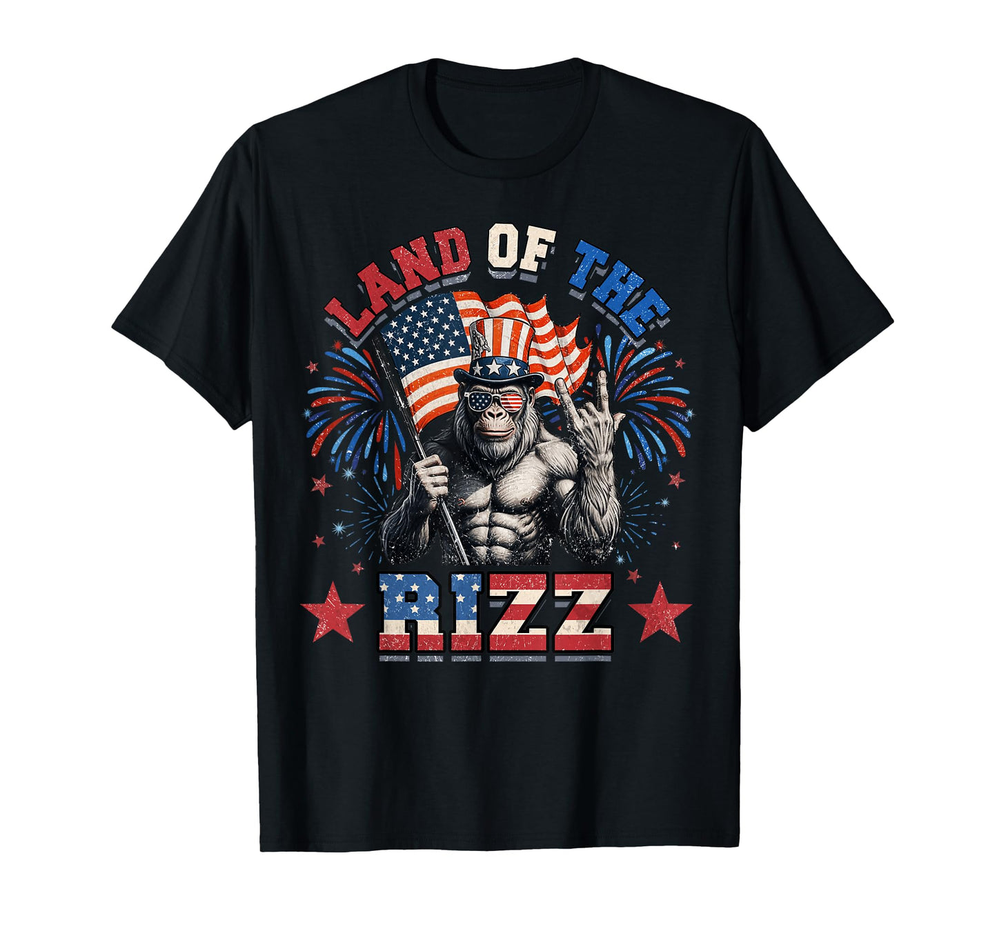 Land Of The Rizz 4th Of July T-Shirt